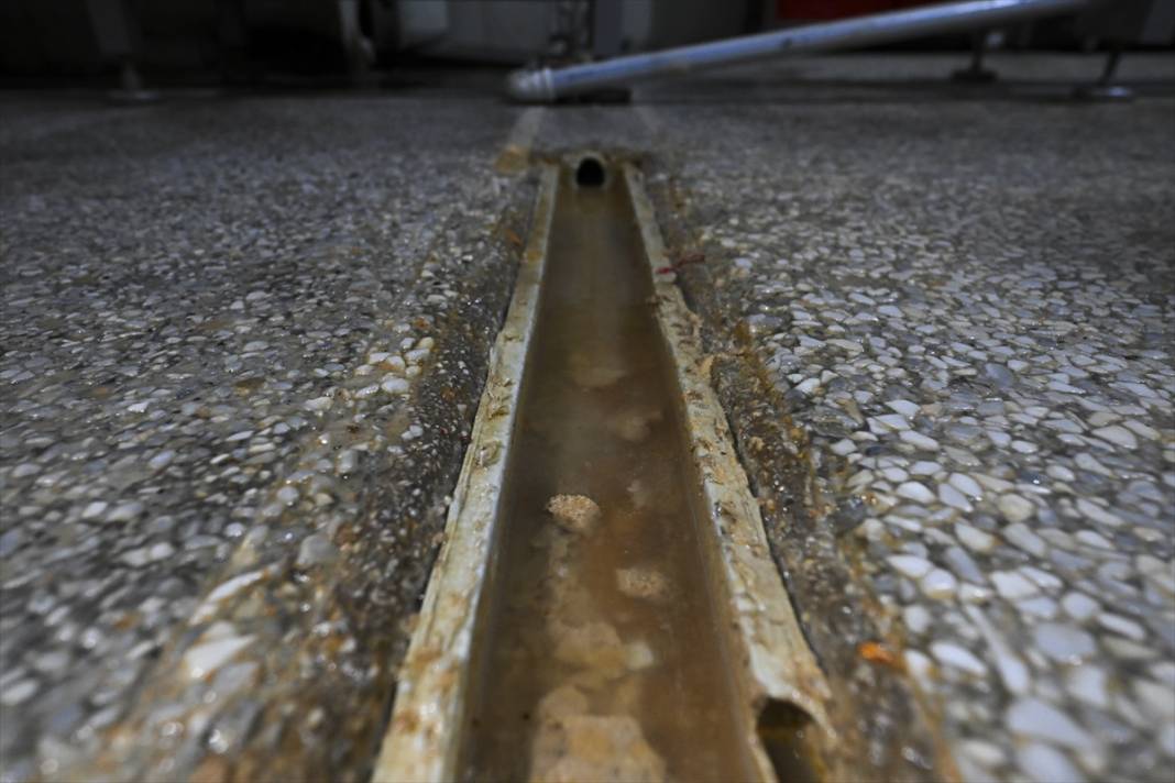 Köfte diye insanlara yedirttikleri şeyler şok etti! Sakın bakmayın 4